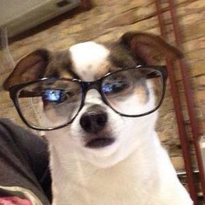 Meet your Posher, Lindsey